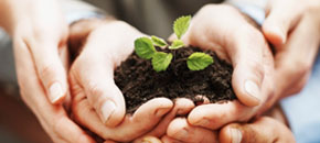 Our Values::Berlin Trading & Agencies